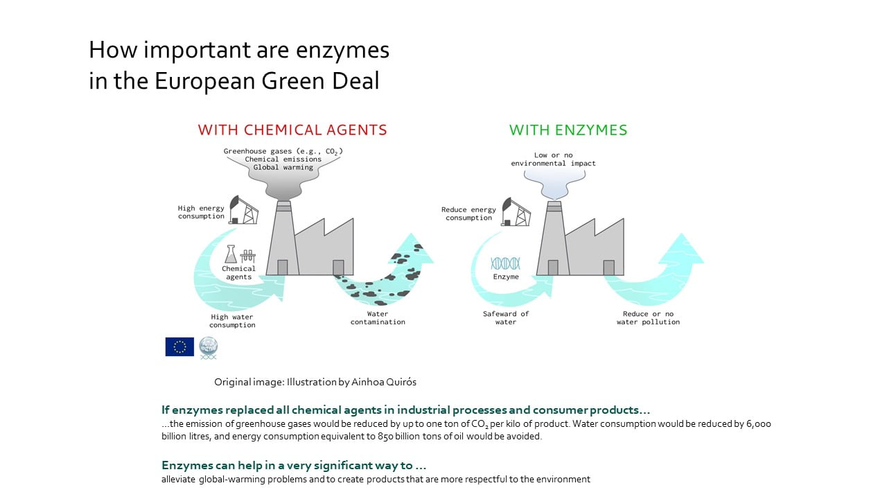 Lee más sobre el artículo The use of enzymes to achieve more sustainable everyday consumer products