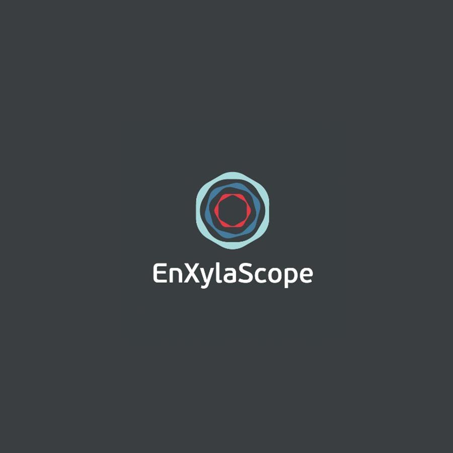 enxylascope