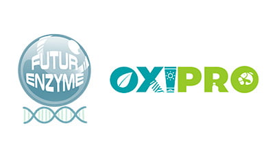 Lee más sobre el artículo FuturEnzyme partner contributed to sister project OXIPRO’s consortium meeting